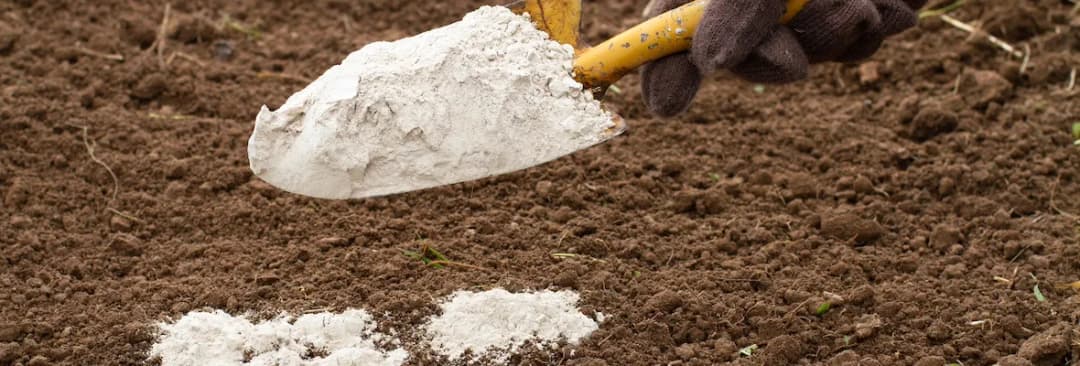 Kiedy stosować dolomit na trawnik, aby uniknąć problemów z glebą