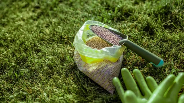 Kiedy pierwsze nawożenie trawnika? Uniknij najczęstszych błędów