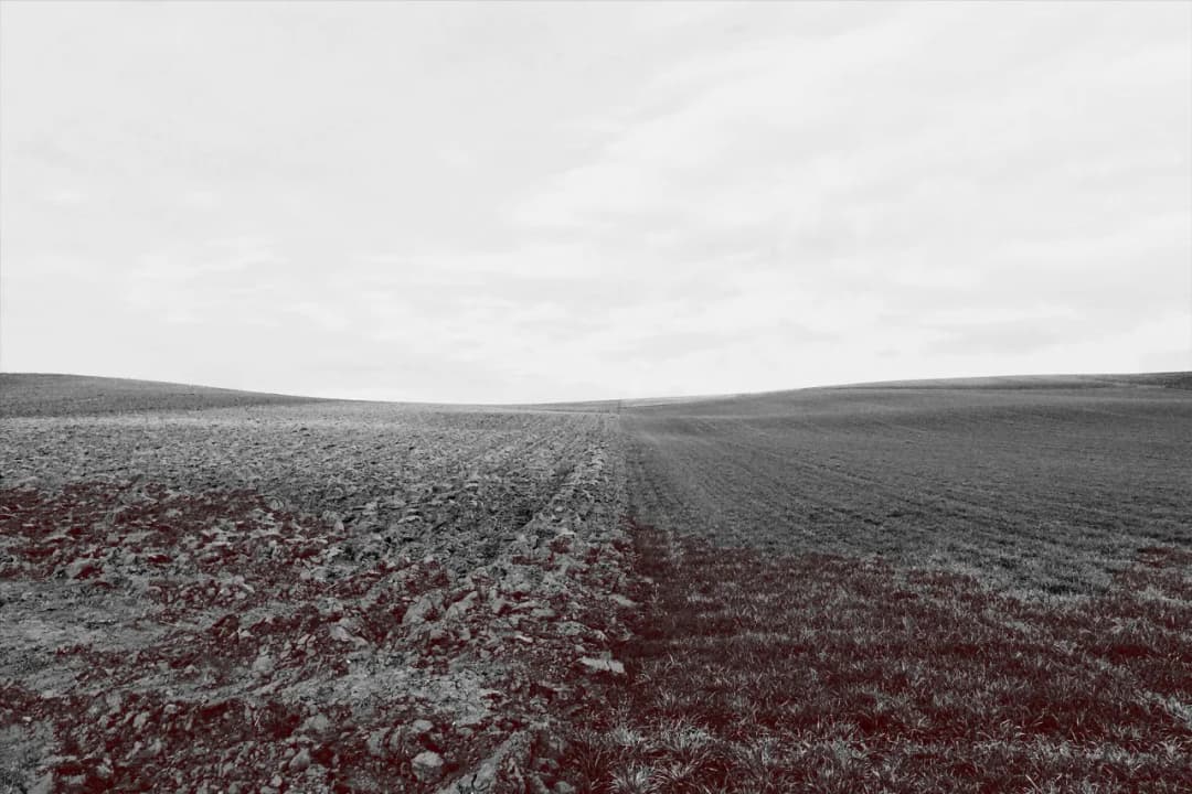 Jak wyłączyć grunty z produkcji rolnej i uniknąć niepotrzebnych problemów