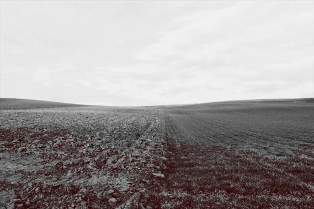 Jak wyłączyć grunty z produkcji rolnej i uniknąć niepotrzebnych problemów