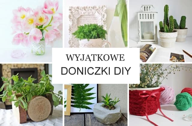 Z czego można zrobić doniczkę? 10 kreatywnych pomysłów na DIY