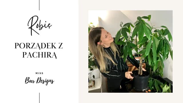 Jak przycinać pachirę, aby uniknąć błędów i zapewnić zdrowy wzrost