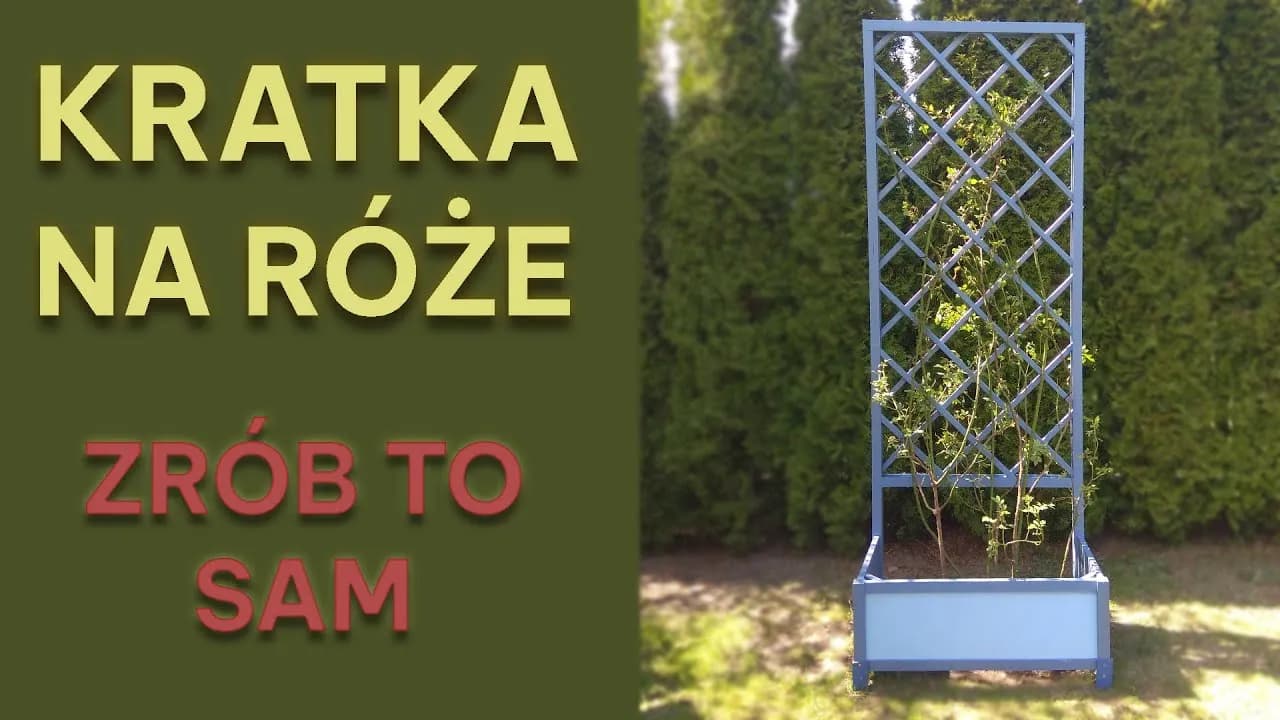 Jak zrobić kratkę do pergoli – proste kroki i praktyczne porady